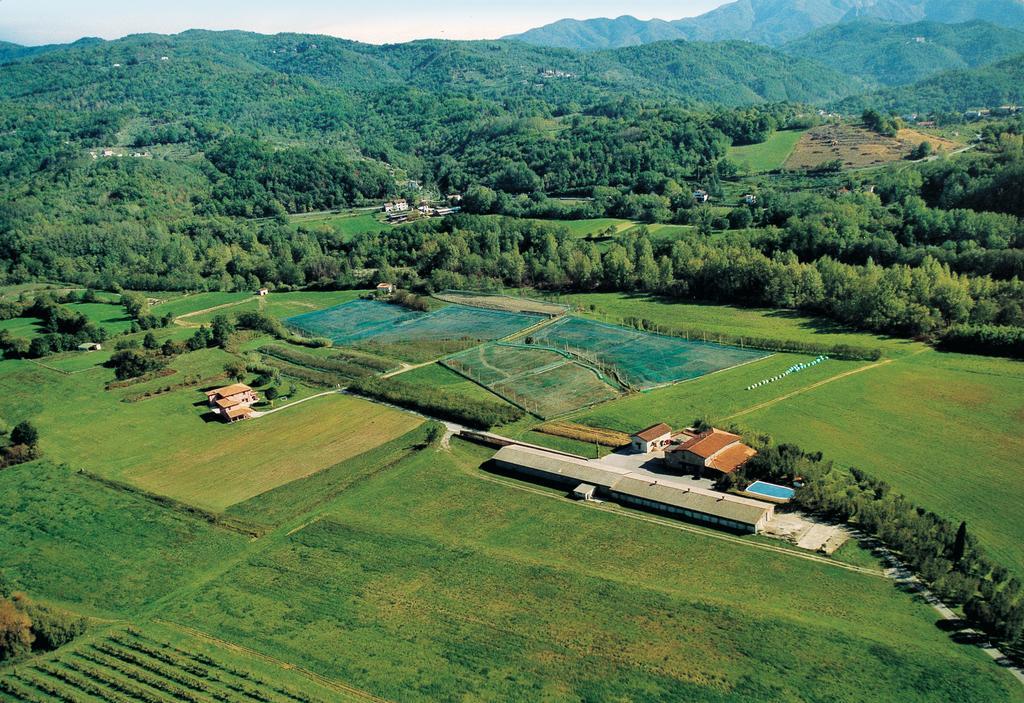 Agriturismo La Praduscella Fivizzano Ngoại thất bức ảnh